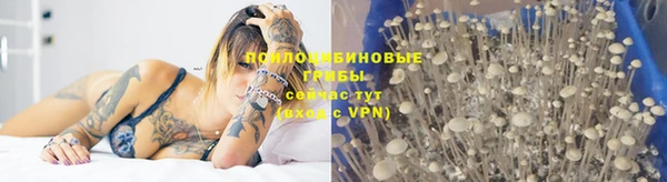 метадон Вяземский