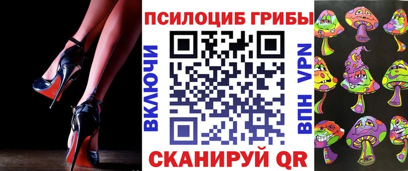 Купить закладки  Гудермес  Галлюциногенные грибы Psilocybe 